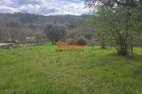 Helårsgrund i Viseu, Viseu, Viseu - € 38.500 | Ref: 189262049 - foto 3