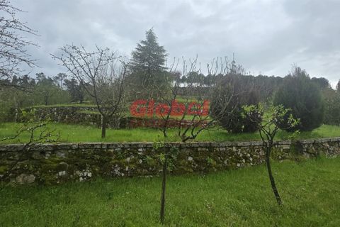 Farm i Mangualde, Viseu, Mangualde - € 189.500 | Ref: 189262050 - foto 1
