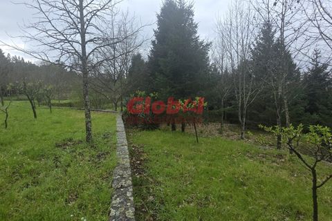 Farm i Mangualde, Viseu, Mangualde - € 189.500 | Ref: 189262050 - foto 3