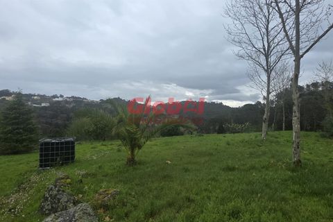 Farm i Mangualde, Viseu, Mangualde - € 189.500 | Ref: 189262050 - foto 4
