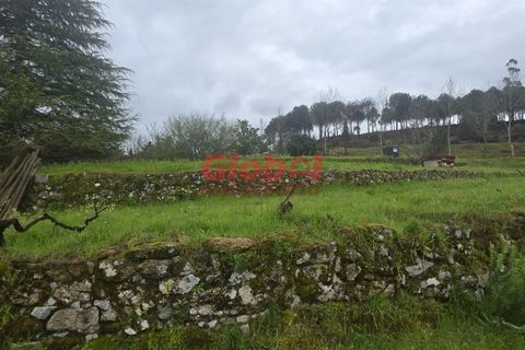 Farm i Mangualde, Viseu, Mangualde - € 189.500 | Ref: 189262050 - foto 5