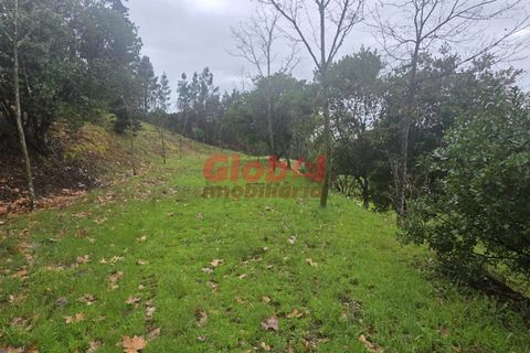 Farm i Mangualde, Viseu, Mangualde - € 189.500 | Ref: 189262050 - foto 6