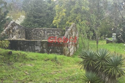 Farm i Mangualde, Viseu, Mangualde - € 189.500 | Ref: 189262050 - foto 7