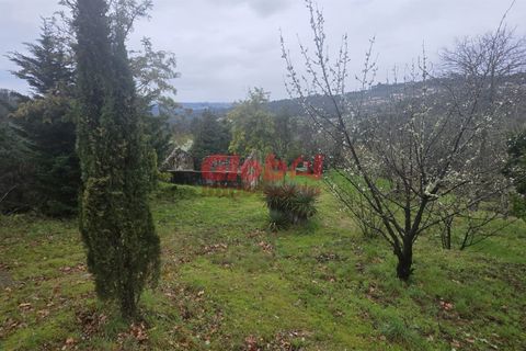 Farm i Mangualde, Viseu, Mangualde - € 189.500 | Ref: 189262050 - foto 8