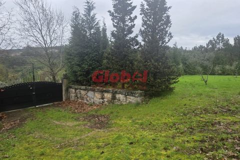 Farm i Mangualde, Viseu, Mangualde - € 189.500 | Ref: 189262050 - foto 9