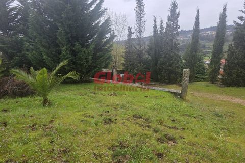 Farm i Mangualde, Viseu, Mangualde - € 189.500 | Ref: 189262050 - foto 10