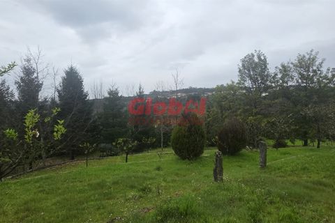 Farm i Mangualde, Viseu, Mangualde - € 189.500 | Ref: 189262050 - foto 11