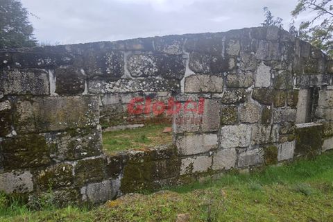 Farm i Mangualde, Viseu, Mangualde - € 189.500 | Ref: 189262050 - foto 12