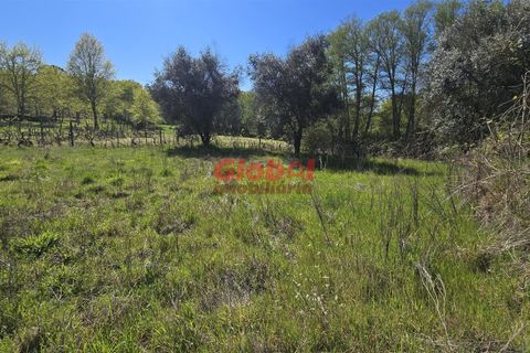 Helårsgrund i Viseu, Viseu, Viseu - € 49.500 | Ref: 189262068 - foto 1