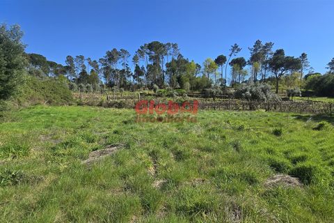 Helårsgrund i Viseu, Viseu, Viseu - € 49.500 | Ref: 189262068 - foto 2