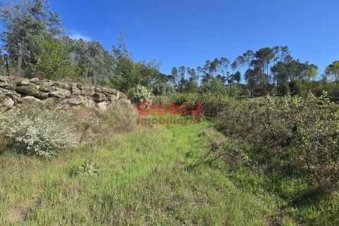 Helårsgrund i Viseu, Viseu, Viseu - € 49.500 | Ref: 189262068 - foto 3