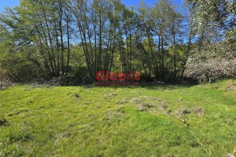 Helårsgrund i Viseu, Viseu, Viseu - € 49.500 | Ref: 189262068 - foto 4