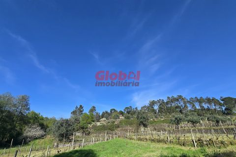 Helårsgrund i Viseu, Viseu, Viseu - € 49.500 | Ref: 189262068 - foto 5
