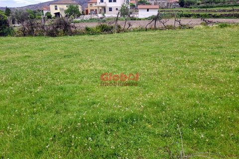 Terra a Sernancelhe, Viseu, Sernancelhe - € 16.000 | Ref: 189262095 - foto 2