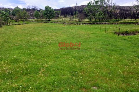 Terra a Sernancelhe, Viseu, Sernancelhe - € 16.000 | Ref: 189262095 - foto 3