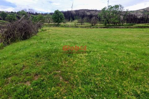 Terra a Sernancelhe, Viseu, Sernancelhe - € 16.000 | Ref: 189262095 - foto 4