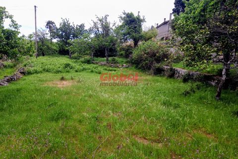 Terra a Sernancelhe, Viseu, Sernancelhe - € 11.700 | Ref: 189262094 - foto 2