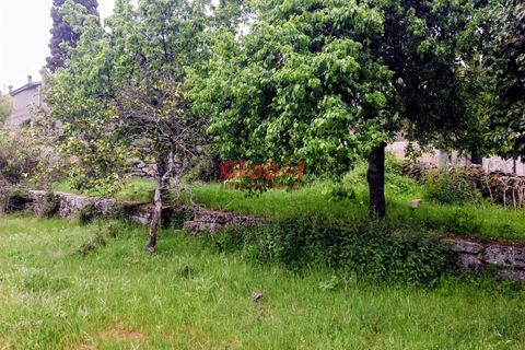 Terra a Sernancelhe, Viseu, Sernancelhe - € 11.700 | Ref: 189262094 - foto 3