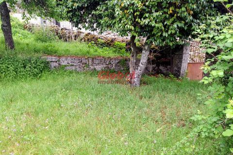 Terra a Sernancelhe, Viseu, Sernancelhe - € 11.700 | Ref: 189262094 - foto 4