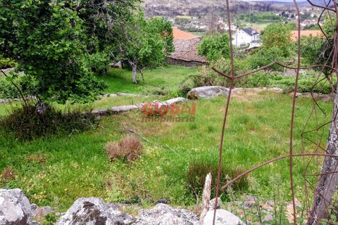 Terra a Sernancelhe, Viseu, Sernancelhe - € 11.700 | Ref: 189262094 - foto 5
