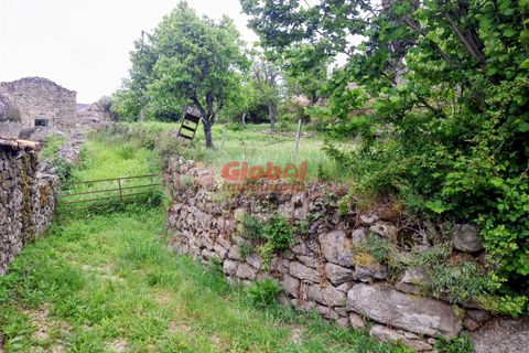 Terra a Sernancelhe, Viseu, Sernancelhe - € 11.700 | Ref: 189262094 - foto 6