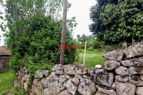 Terra a Sernancelhe, Viseu, Sernancelhe - € 11.700 | Ref: 189262094 - foto 7