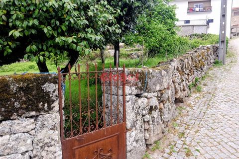 Terra a Sernancelhe, Viseu, Sernancelhe - € 11.700 | Ref: 189262094 - foto 8