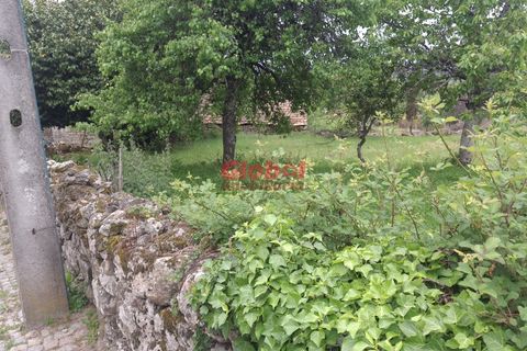 Terra a Sernancelhe, Viseu, Sernancelhe - € 11.700 | Ref: 189262094 - foto 9
