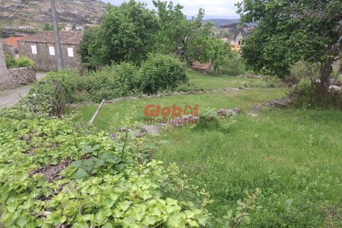 Terra a Sernancelhe, Viseu, Sernancelhe - € 11.700 | Ref: 189262094 - foto 10