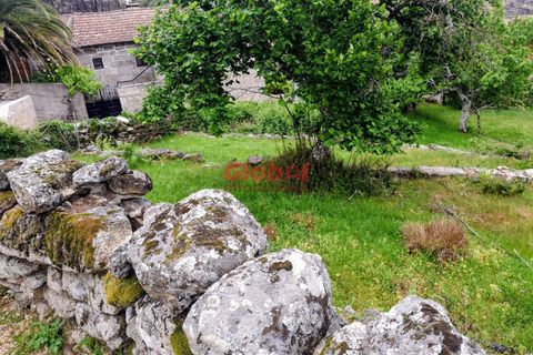 Terra a Sernancelhe, Viseu, Sernancelhe - € 11.700 | Ref: 189262094 - foto 11