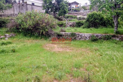 Terra a Sernancelhe, Viseu, Sernancelhe - € 11.700 | Ref: 189262094 - foto 12