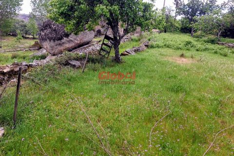Terra a Sernancelhe, Viseu, Sernancelhe - € 11.700 | Ref: 189262094 - foto 13