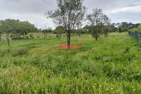 Helårsgrund i Viseu, Viseu, Viseu - € 58.500 | Ref: 189262097 - foto 1