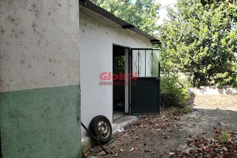 Villa i Viseu, Viseu, Viseu - € 154.500 | Ref: 189262111 - foto 3