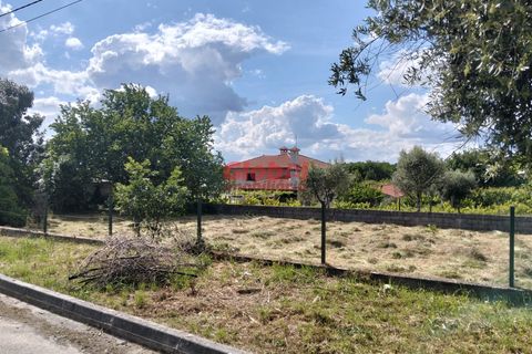 Villa i Viseu, Viseu, Viseu - € 154.500 | Ref: 189262111 - foto 6