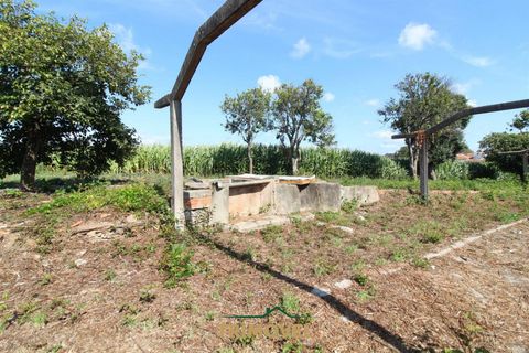 Helårsgrund i Ovar, Aveiro, Ovar - € 210.000 | Ref: TRI605 - foto 4