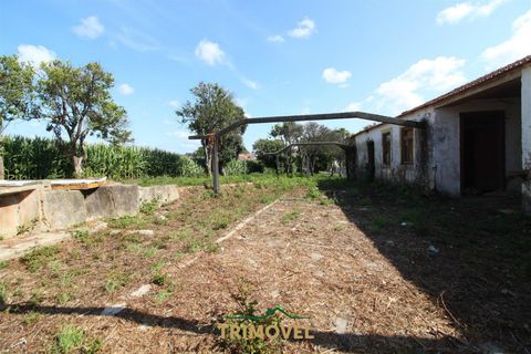Helårsgrund i Ovar, Aveiro, Ovar - € 210.000 | Ref: TRI605 - foto 5