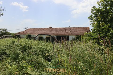 Helårsgrund i Ovar, Aveiro, Ovar - € 210.000 | Ref: TRI605 - foto 6
