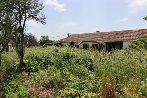 Helårsgrund i Ovar, Aveiro, Ovar - € 210.000 | Ref: TRI605 - foto 7