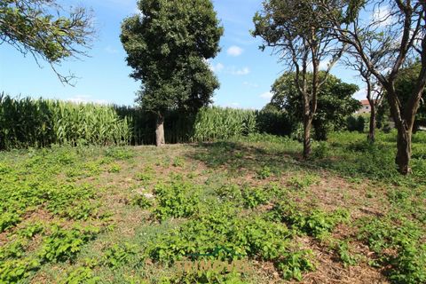 Helårsgrund i Ovar, Aveiro, Ovar - € 210.000 | Ref: TRI605 - foto 8