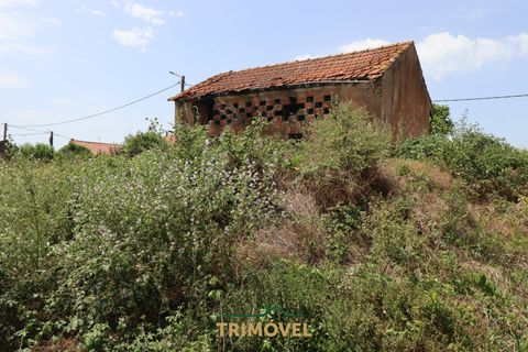 Helårsgrund i Ovar, Aveiro, Ovar - € 210.000 | Ref: TRI605 - foto 10
