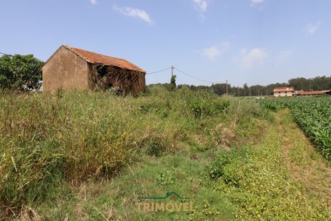 Helårsgrund i Ovar, Aveiro, Ovar - € 210.000 | Ref: TRI605 - foto 11