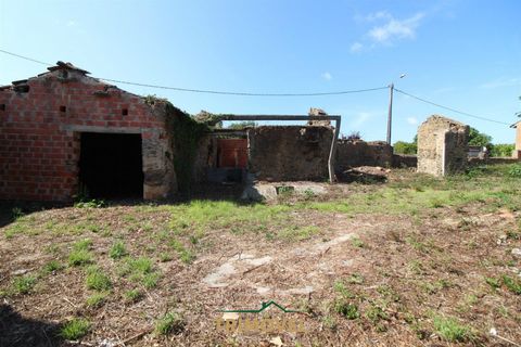 Helårsgrund i Ovar, Aveiro, Ovar - € 210.000 | Ref: TRI605 - foto 12