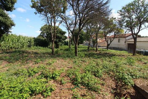 Helårsgrund i Ovar, Aveiro, Ovar - € 210.000 | Ref: TRI605 - foto 13