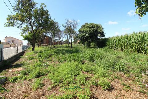 Helårsgrund i Ovar, Aveiro, Ovar - € 210.000 | Ref: TRI605 - foto 14