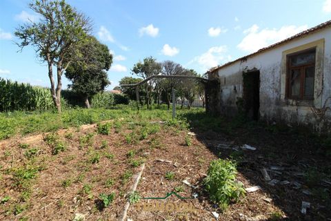 Helårsgrund i Ovar, Aveiro, Ovar - € 210.000 | Ref: TRI605 - foto 15