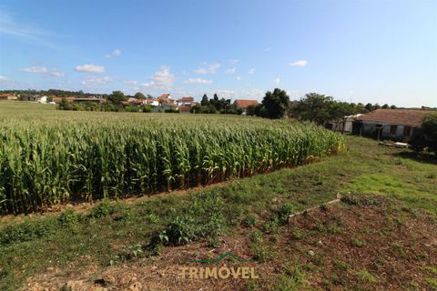 Helårsgrund i Ovar, Aveiro, Ovar - € 210.000 | Ref: TRI605 - foto 18