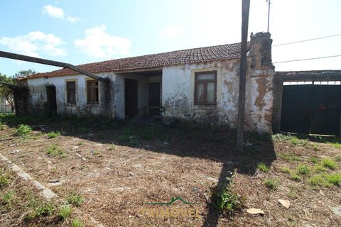 Helårsgrund i Ovar, Aveiro, Ovar - € 210.000 | Ref: TRI605 - foto 19