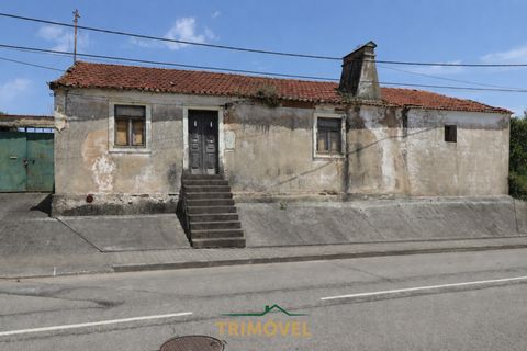Helårsgrund i Ovar, Aveiro, Ovar - € 210.000 | Ref: TRI605 - foto 21
