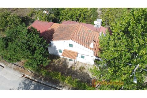 Farm i Ferro, Castelo Branco, Ferro - € 149.000 | Ref: MAS_120 - foto 1